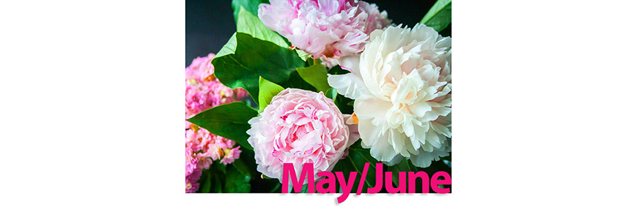 May/June Newsletter 2021
